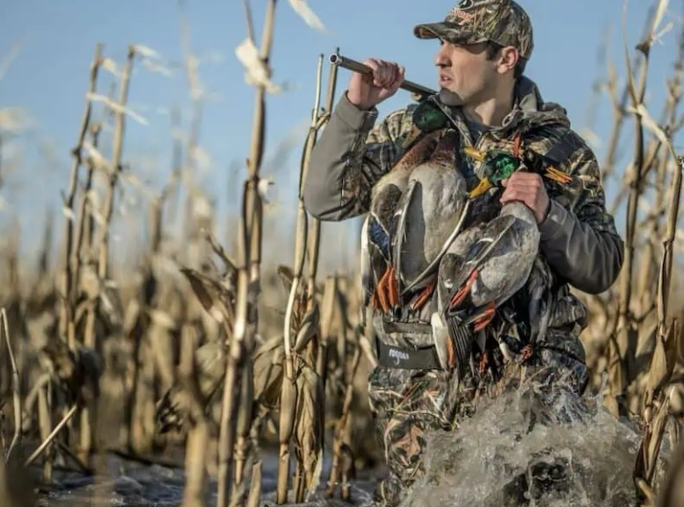planting-season-for-ducks/