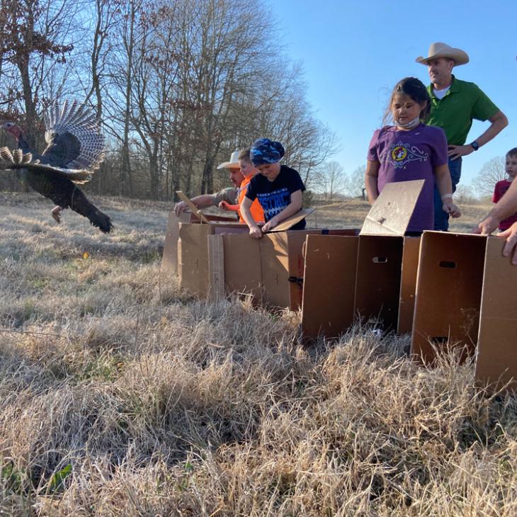 Releasing-Turkeys