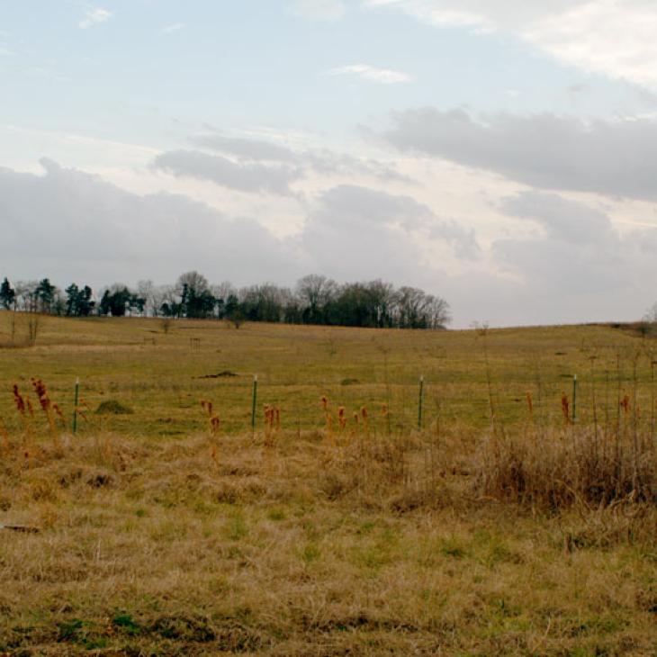 small-land-tract.jpg