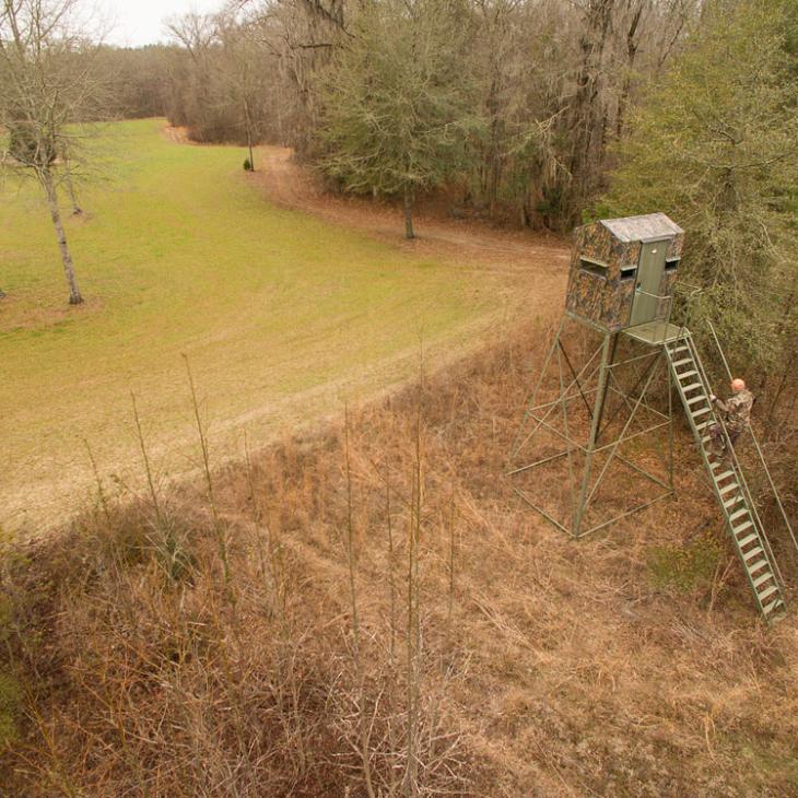 blind-on-food-plot