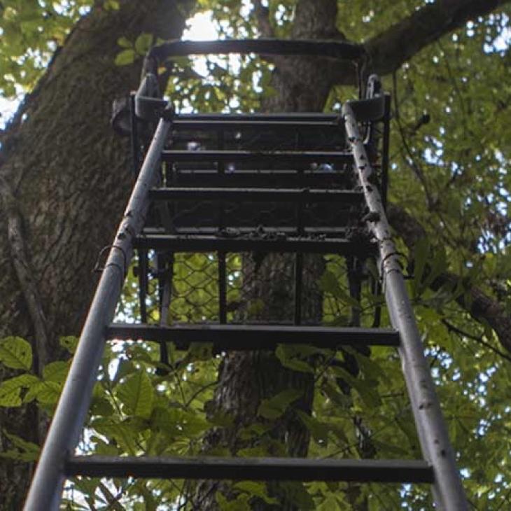 treestand-safety