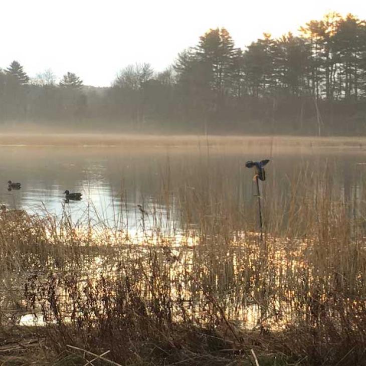 moving-duck-decoy