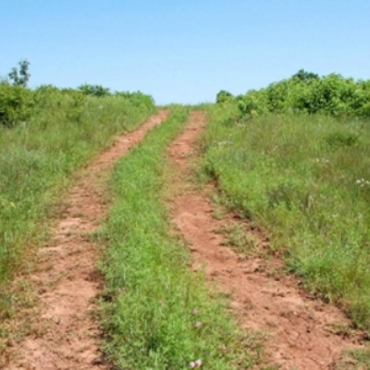 easement101-1