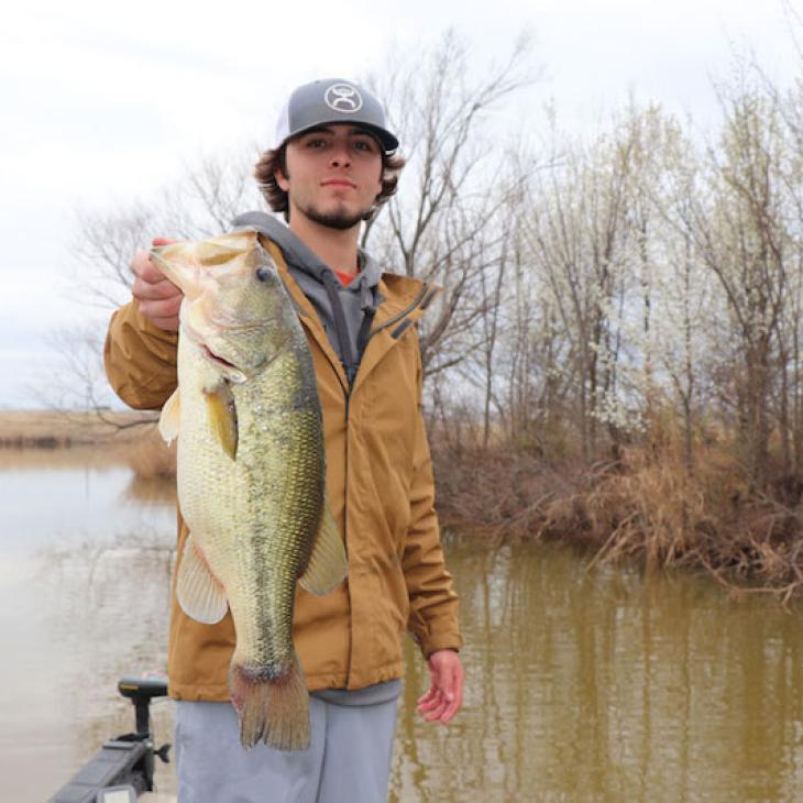 Baits-for-Spring-web
