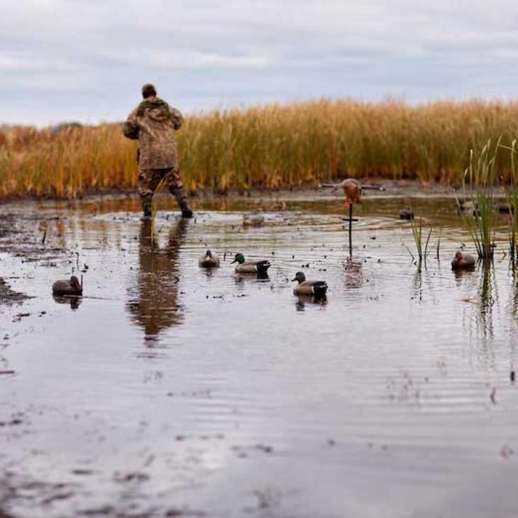 duck-hunting-decoys