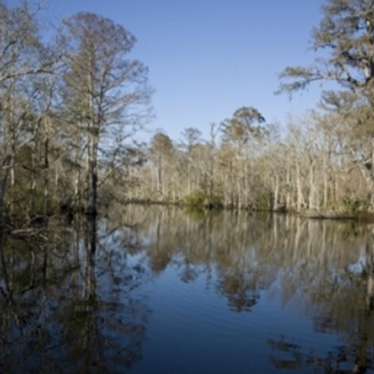 conservation-easement