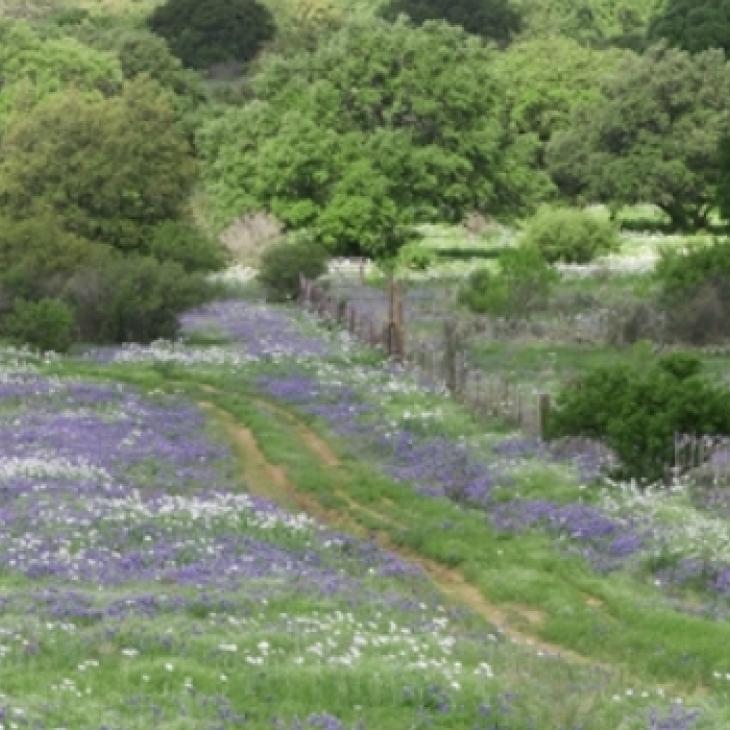 easement types.