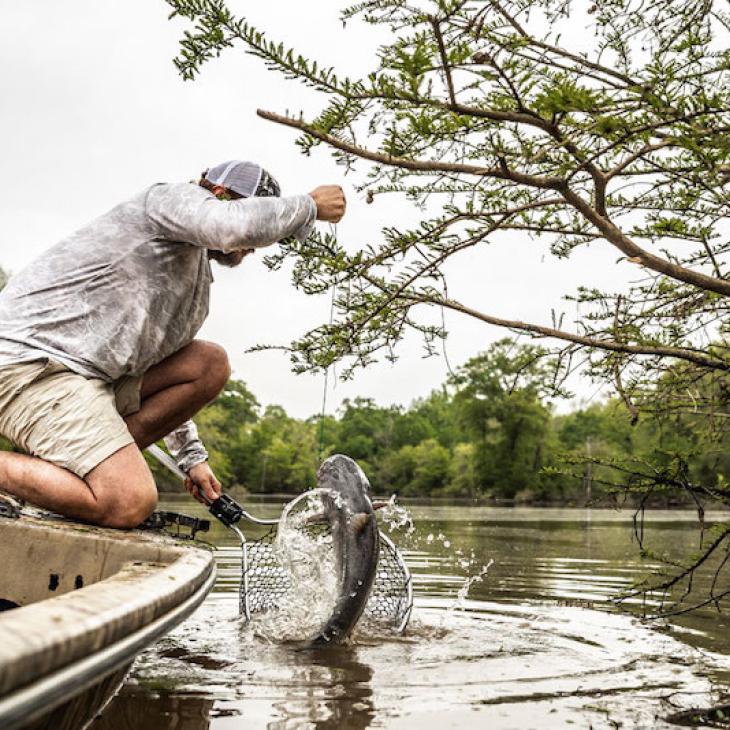 limb-line-catfishing