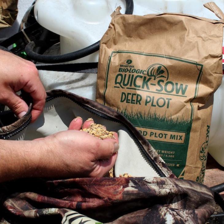 cool season food plots