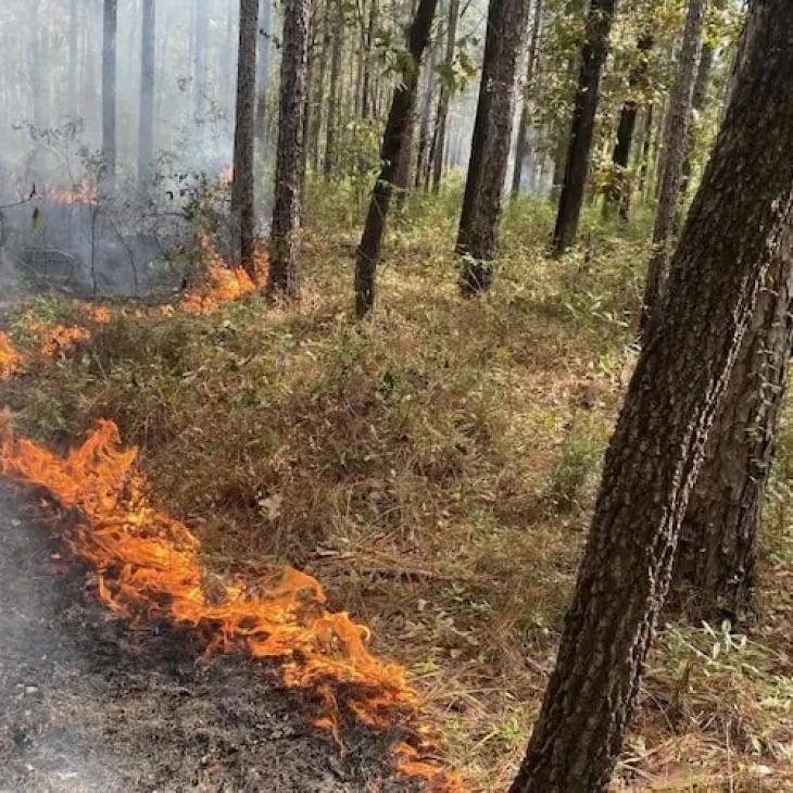 late-season-prescribed-burns