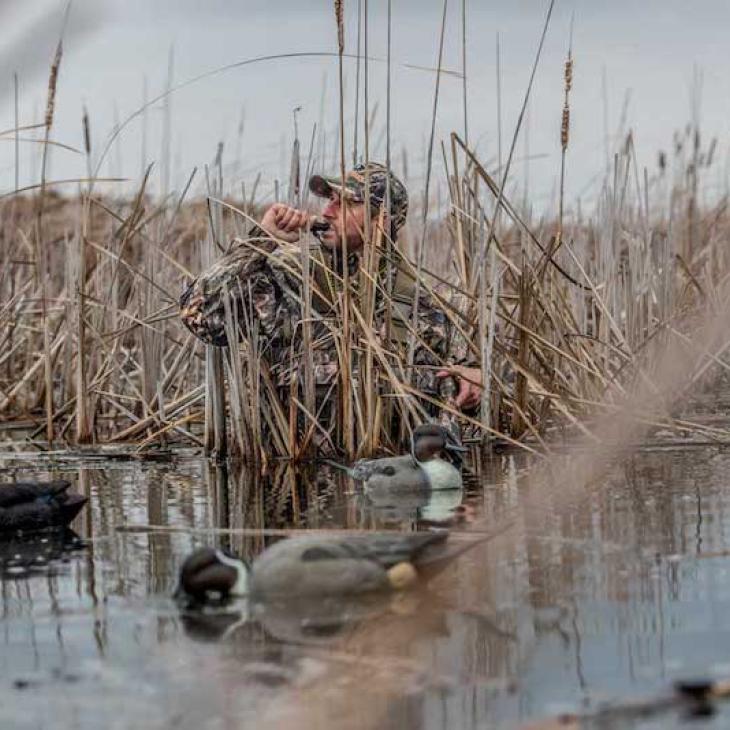 WATERFOWL POPULATION SURVEYS: HOW WILDLIFE MANAGERS ASSESS WATERFOWL POPULATIONS