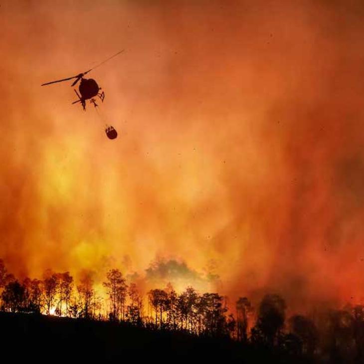 FIRE: UNDERSTANDING NATURE’S OLDEST MANAGEMENT TOOL