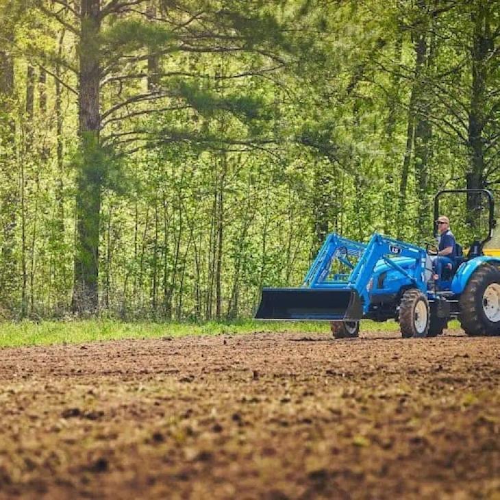 THE BEST SUMMER FOOD PLOTS FOR DEER