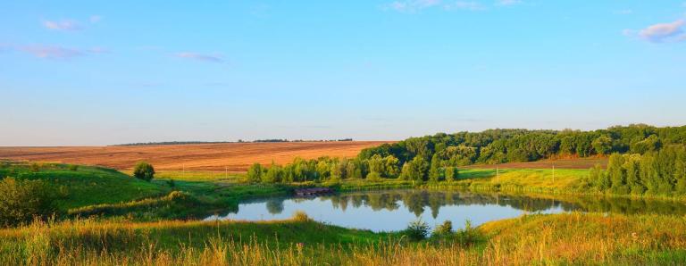 Photo of land with pond.