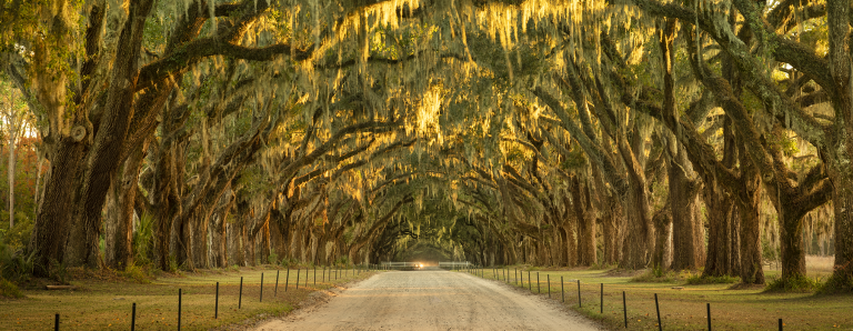 covered drive banner