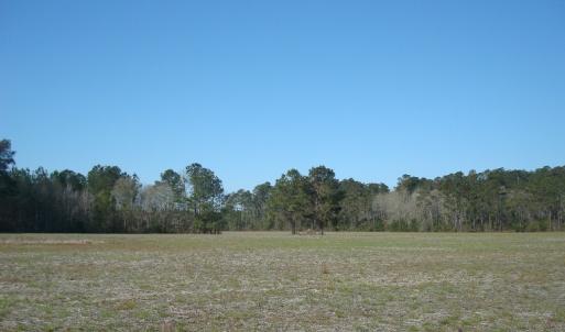 Photo of UNDER CONTRACT!  58 Acres of Farm and Timber Land For Sale in Columbus County NC!