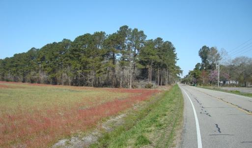Photo of UNDER CONTRACT!  58 Acres of Farm and Timber Land For Sale in Columbus County NC!