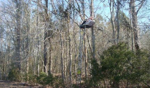 Photo of UNDER CONTRACT!  58 Acres of Farm and Timber Land For Sale in Columbus County NC!