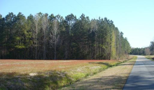Photo of UNDER CONTRACT!  58 Acres of Farm and Timber Land For Sale in Columbus County NC!