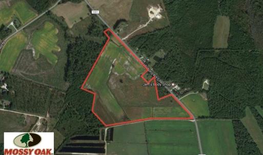 Photo of UNDER CONTRACT!  58 Acres of Farm and Timber Land For Sale in Columbus County NC!