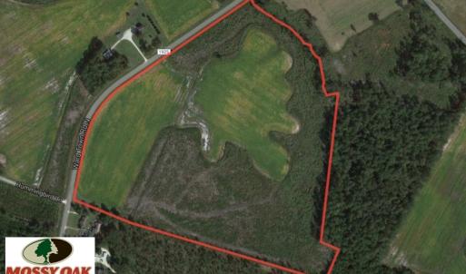 Photo of SOLD!  46 Acres of Farm and Timber Land For Sale in Columbus County NC!