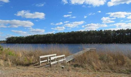 Photo of REDUCED!  287 Acres of Hunting Land With Buildable Lot For Sale in Hyde County NC!