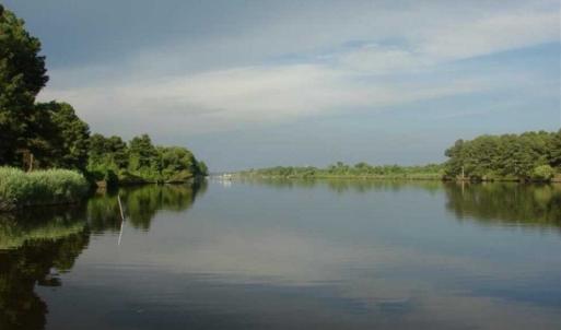 Photo of REDUCED!  287 Acres of Hunting Land With Buildable Lot For Sale in Hyde County NC!