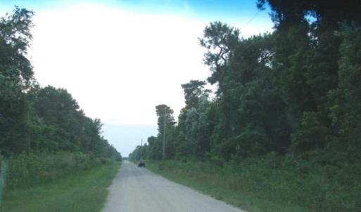 Photo of REDUCED!  287 Acres of Hunting Land With Buildable Lot For Sale in Hyde County NC!