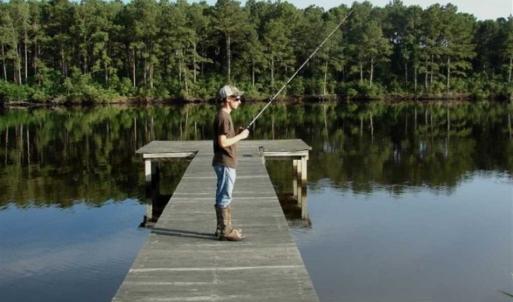 Photo of REDUCED!  287 Acres of Hunting Land With Buildable Lot For Sale in Hyde County NC!