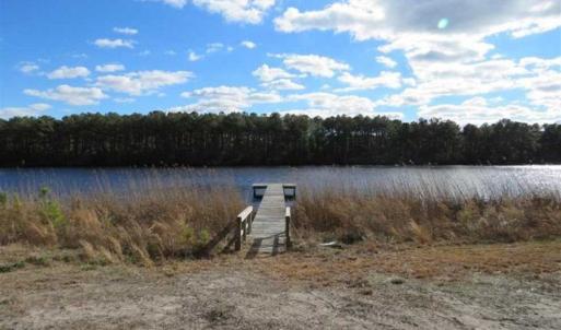 Photo of REDUCED!  287 Acres of Hunting Land With Buildable Lot For Sale in Hyde County NC!