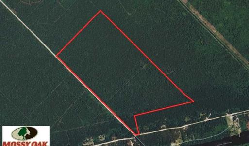 Photo of REDUCED!  287 Acres of Hunting Land With Buildable Lot For Sale in Hyde County NC!