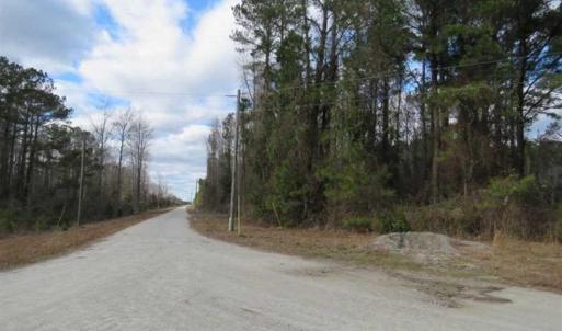 Photo of REDUCED!  287 Acres of Hunting Land With Buildable Lot For Sale in Hyde County NC!