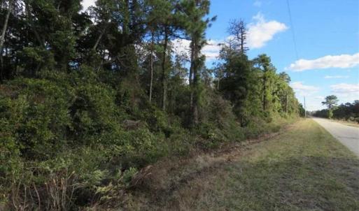 Photo of REDUCED!  287 Acres of Hunting Land With Buildable Lot For Sale in Hyde County NC!