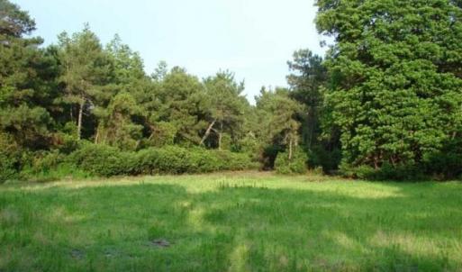 Photo of REDUCED!  287 Acres of Hunting Land With Buildable Lot For Sale in Hyde County NC!