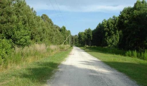 Photo of REDUCED!  287 Acres of Hunting Land With Buildable Lot For Sale in Hyde County NC!