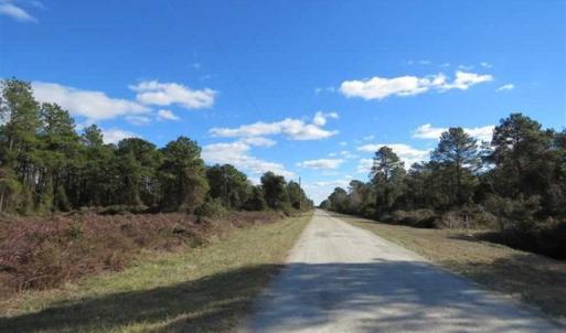 Photo of REDUCED!  287 Acres of Hunting Land With Buildable Lot For Sale in Hyde County NC!