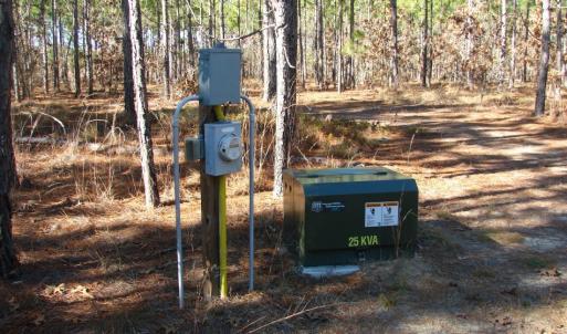 Photo of SOLD!  1791 Acre Timber Land for Sale in Bladen County NC