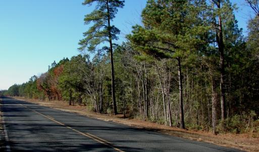 Photo of SOLD!  1791 Acre Timber Land for Sale in Bladen County NC