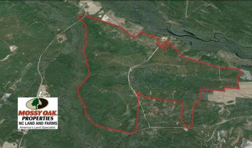 Photo of SOLD!  1791 Acre Timber Land for Sale in Bladen County NC