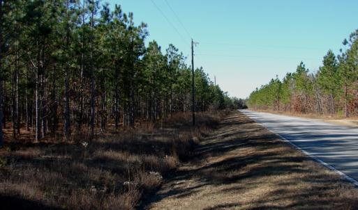 Photo of SOLD!  1791 Acre Timber Land for Sale in Bladen County NC