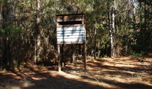 Photo of SOLD!  1791 Acre Timber Land for Sale in Bladen County NC