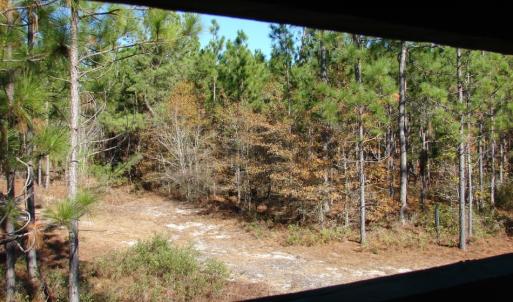 Photo of SOLD!  1791 Acre Timber Land for Sale in Bladen County NC