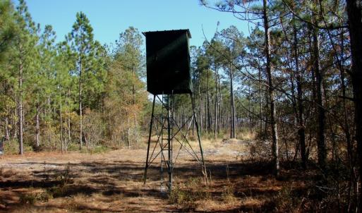 Photo of SOLD!  1791 Acre Timber Land for Sale in Bladen County NC