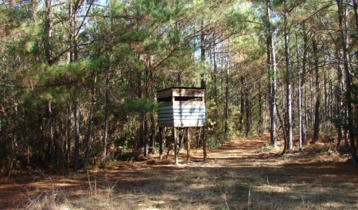 Photo of SOLD!  1791 Acre Timber Land for Sale in Bladen County NC