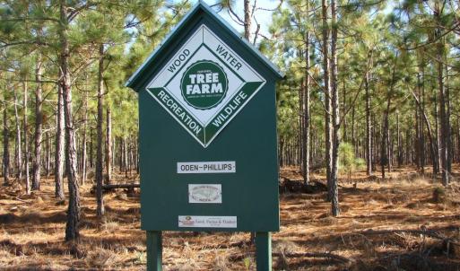 Photo of SOLD!  1791 Acre Timber Land for Sale in Bladen County NC