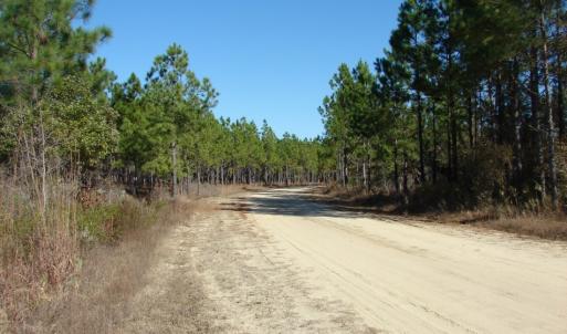 Photo of SOLD!  1791 Acre Timber Land for Sale in Bladen County NC
