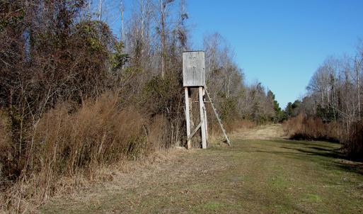 Photo of SOLD!  67 Acre Hunting Land for Sale in Pender County NC