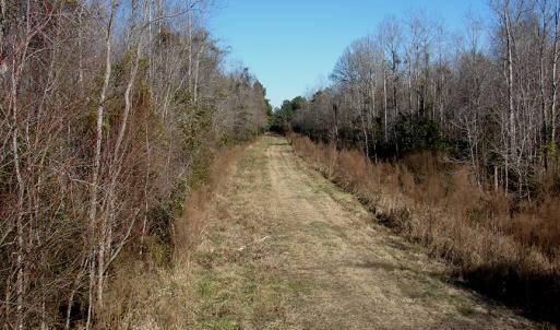 Photo of SOLD!  67 Acre Hunting Land for Sale in Pender County NC