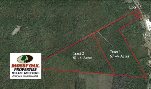 Photo of SOLD!  61 Acre Hunting Land for Sale in Pender County NC