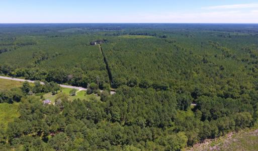 Photo of SOLD!  10 Acres of Hunting and Timber Land For Sale in Halifax County NC!